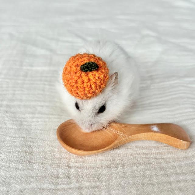 みかんの帽子　ハムスター・小動物・ぬいぐるみ | 2枚目