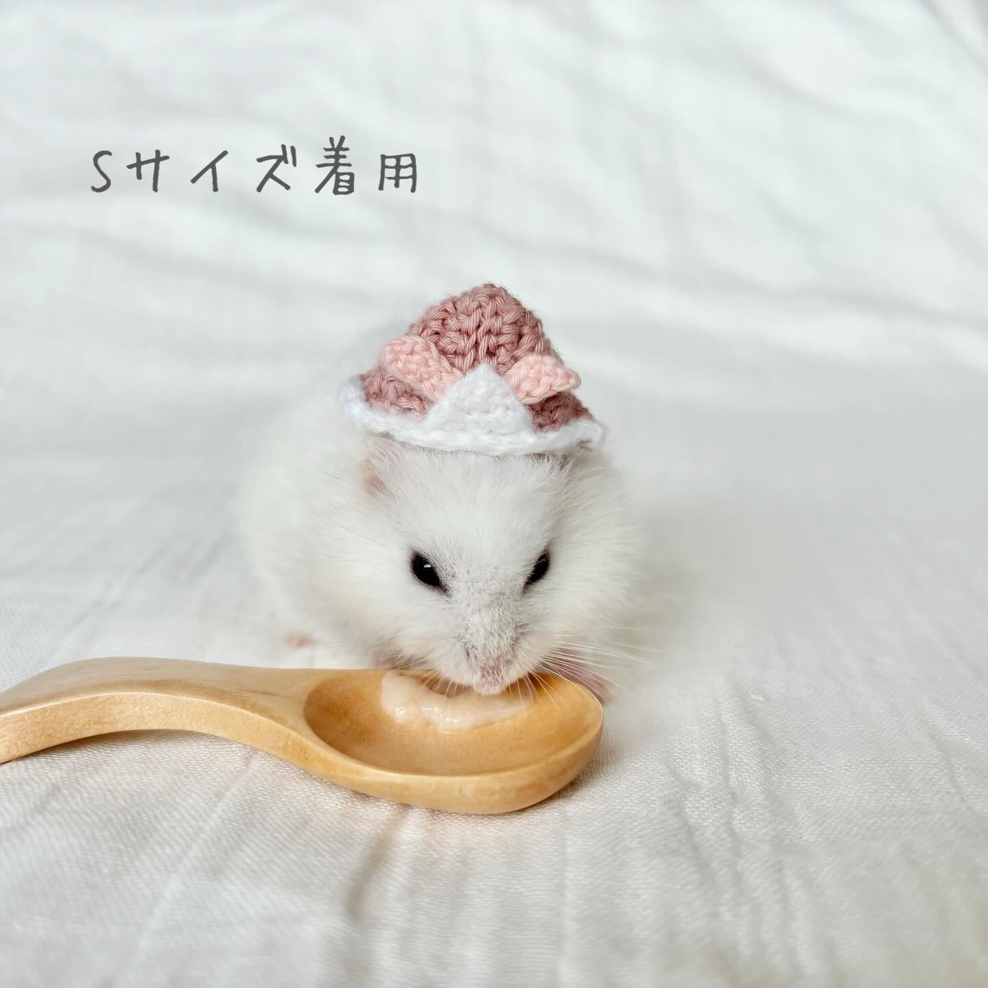 こどもの日・かぶと　ハムスター・小動物・ぬいぐるみ | 4枚目