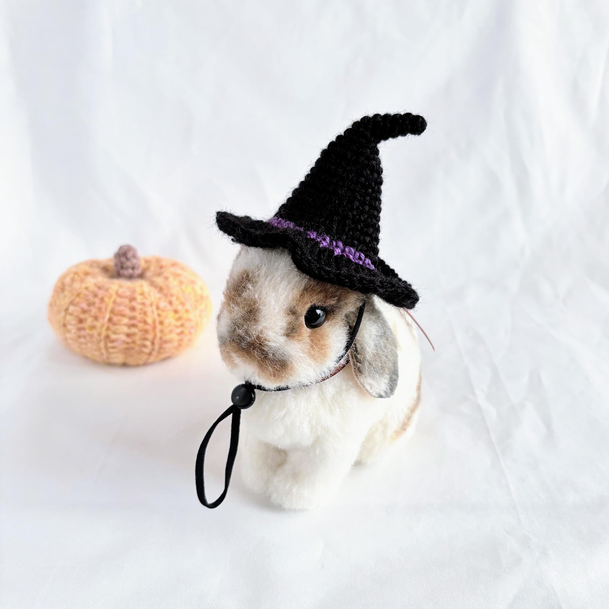 ハロウィン 魔女帽子 うさぎ・ペット・ぬいぐるみ | 2枚目