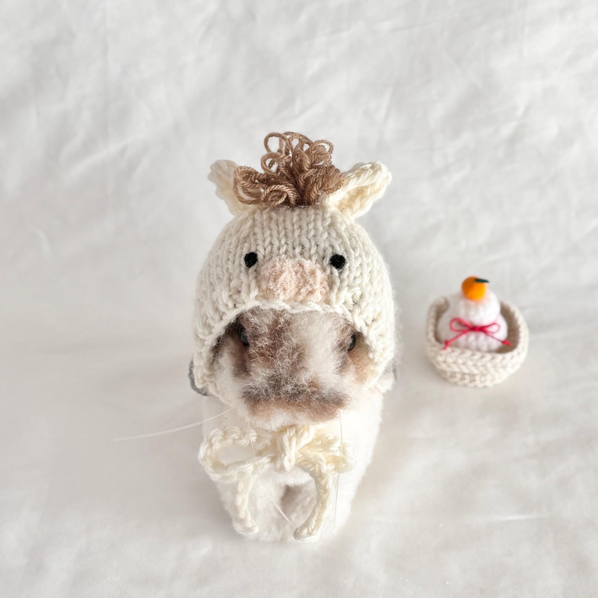 うまさんの帽子 うさぎ・ペット・ぬいぐるみ | 2枚目